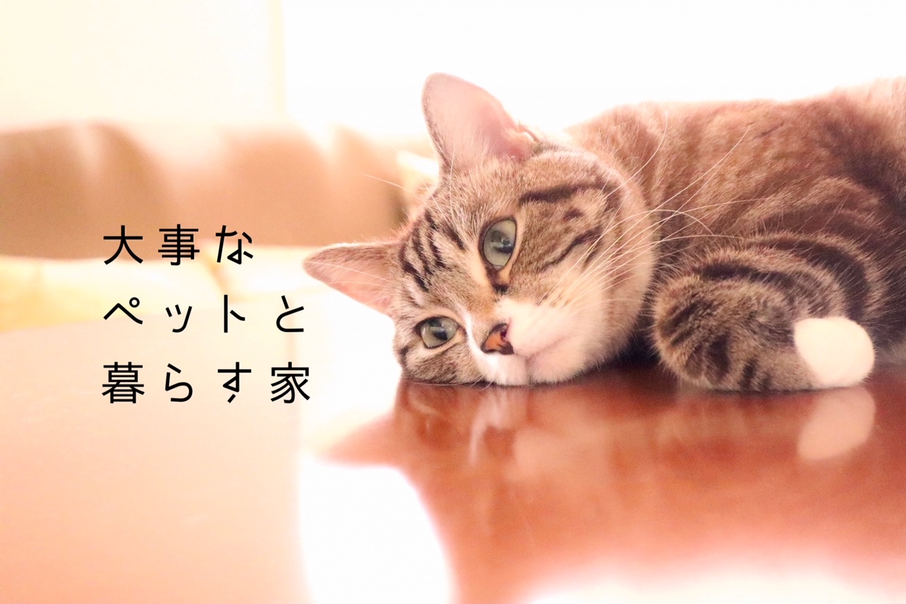 【ペットと暮らすお家】ペットも人も快適に過ごすために