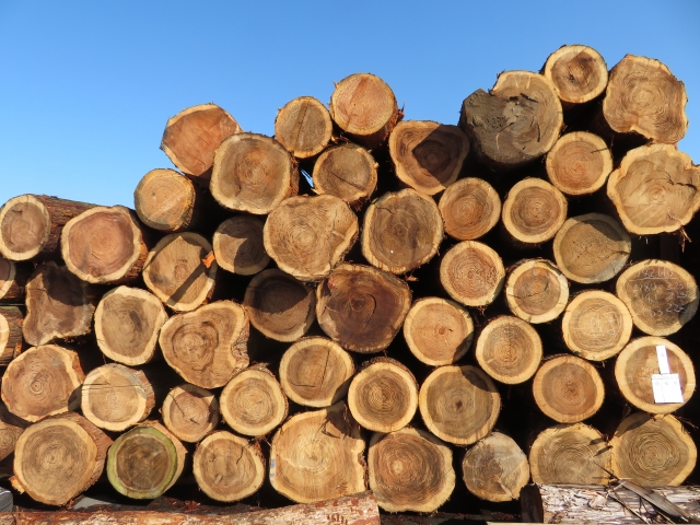 木材が入手困難？木材価格が高騰！？