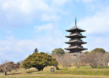 初めてのボランティア活動