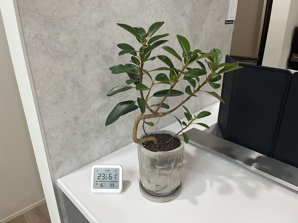 室温時計の画像