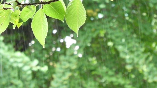 梅雨に負けない家づくり