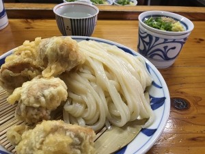 はりやうどん　かしわ