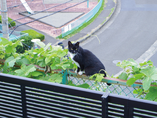 家づくり学校で家づくりをしたお客様
