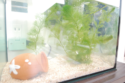 家づくり学校で家づくりをしたお客様