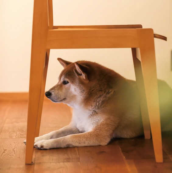 家づくり学校で家づくりをしたお客様