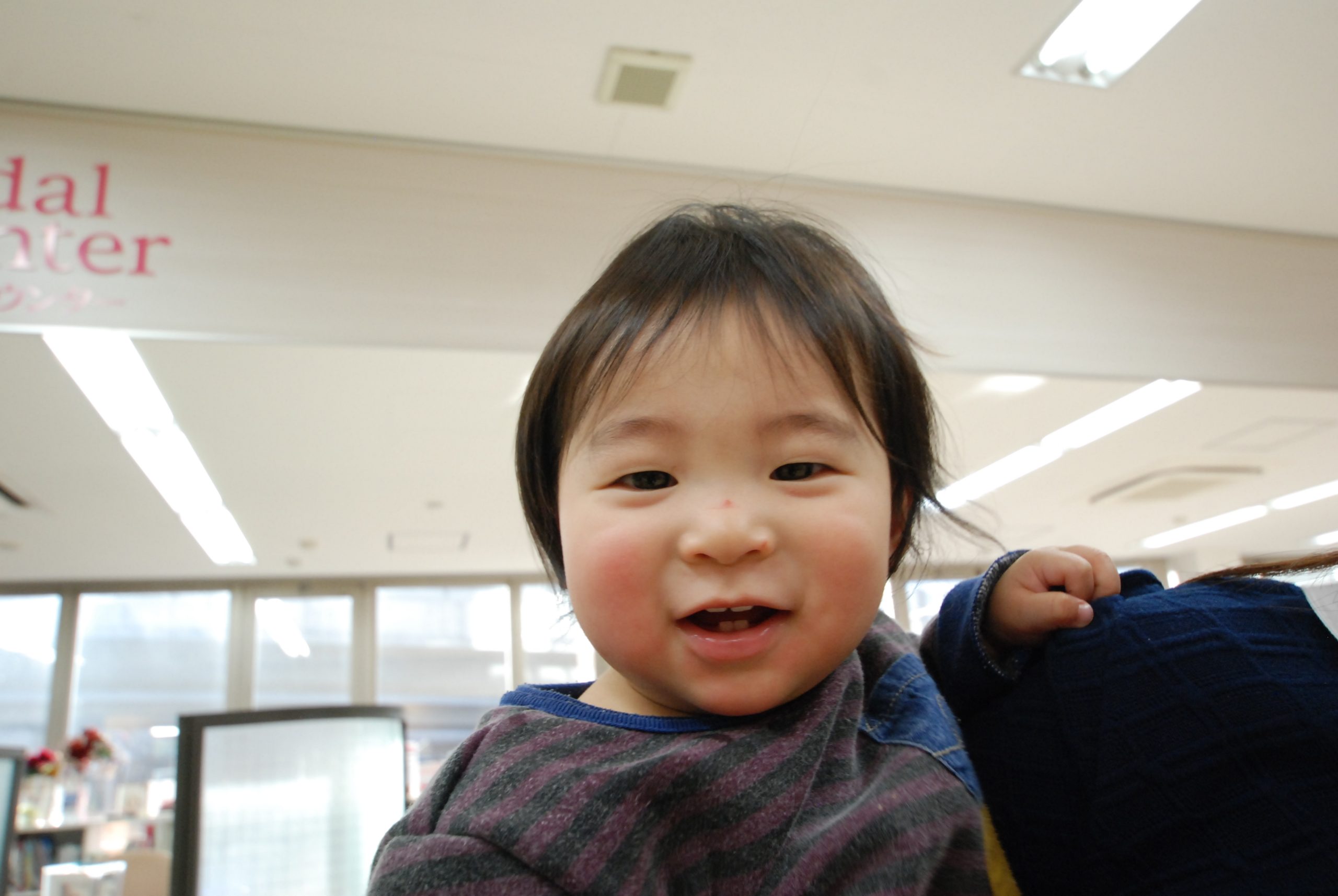 勉強して再始動!