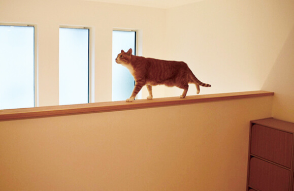 家づくり学校で家づくりをしたお客様