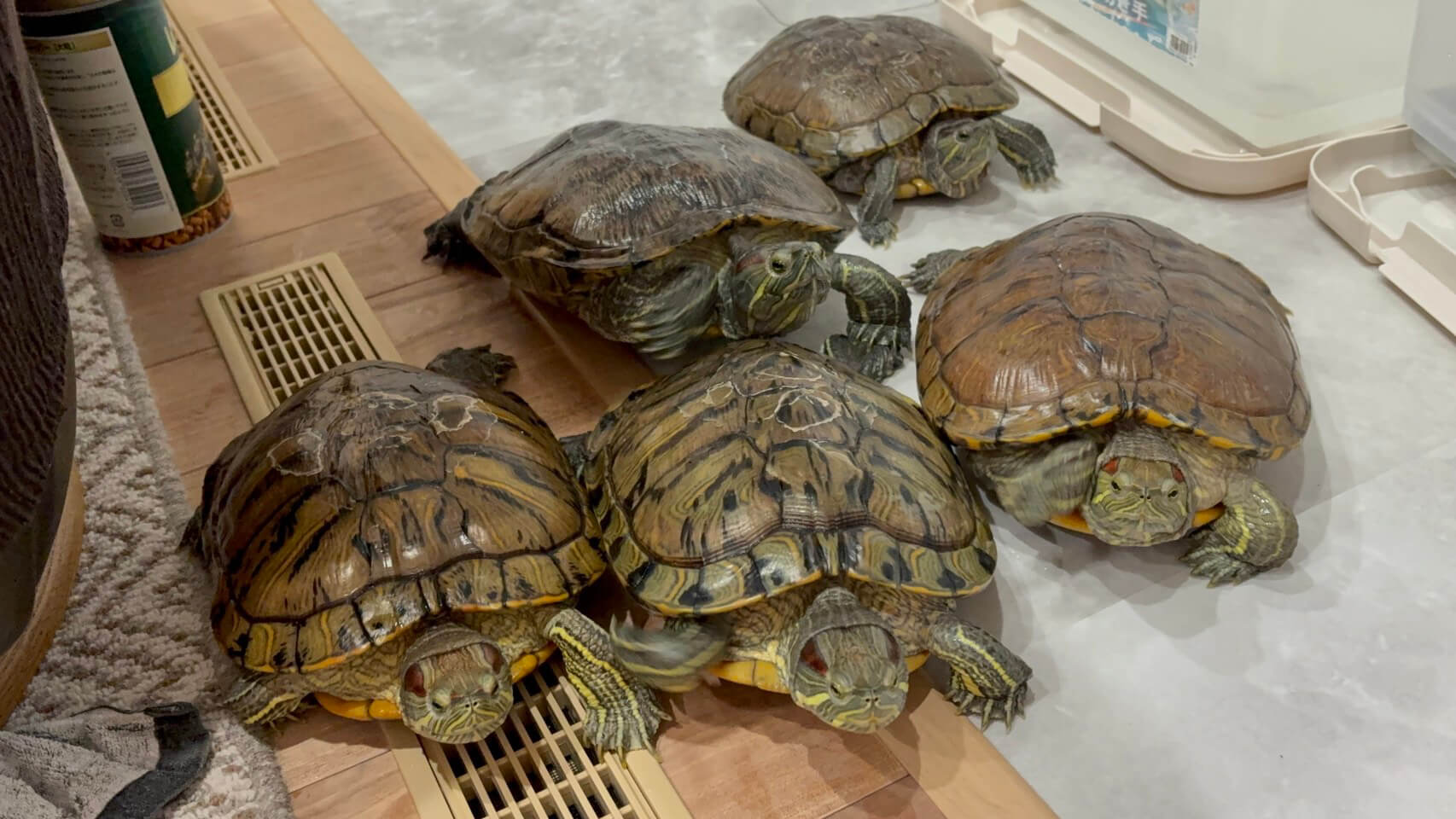 家づくり学校で家づくりをしたお客様