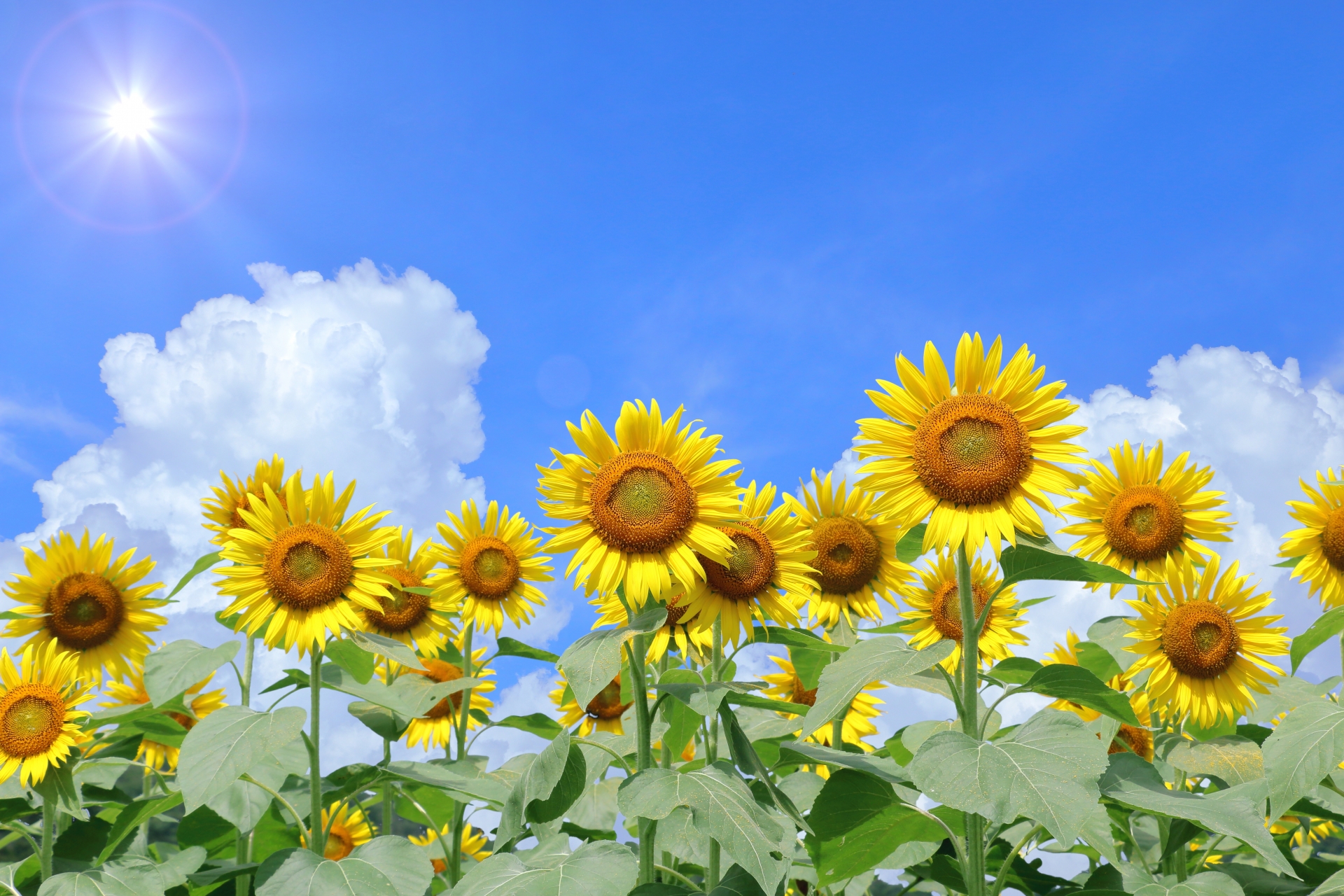 夏の体感ツアーレポート第1弾！