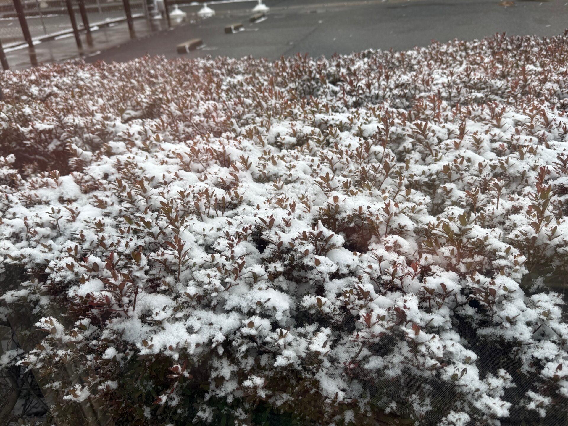 外は雪・・・家の中、寒くない？