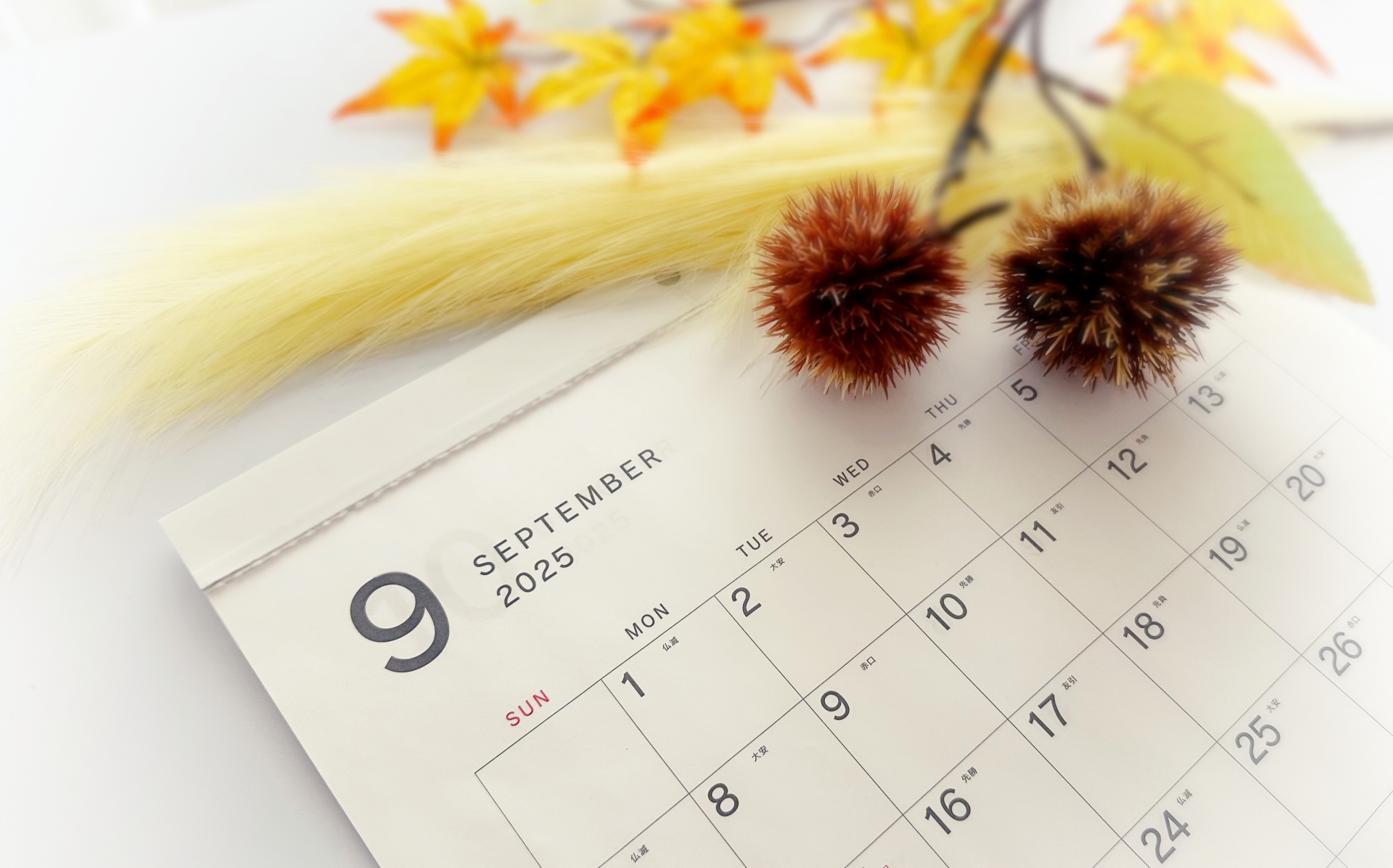 9月のセミナー情報のお知らせ