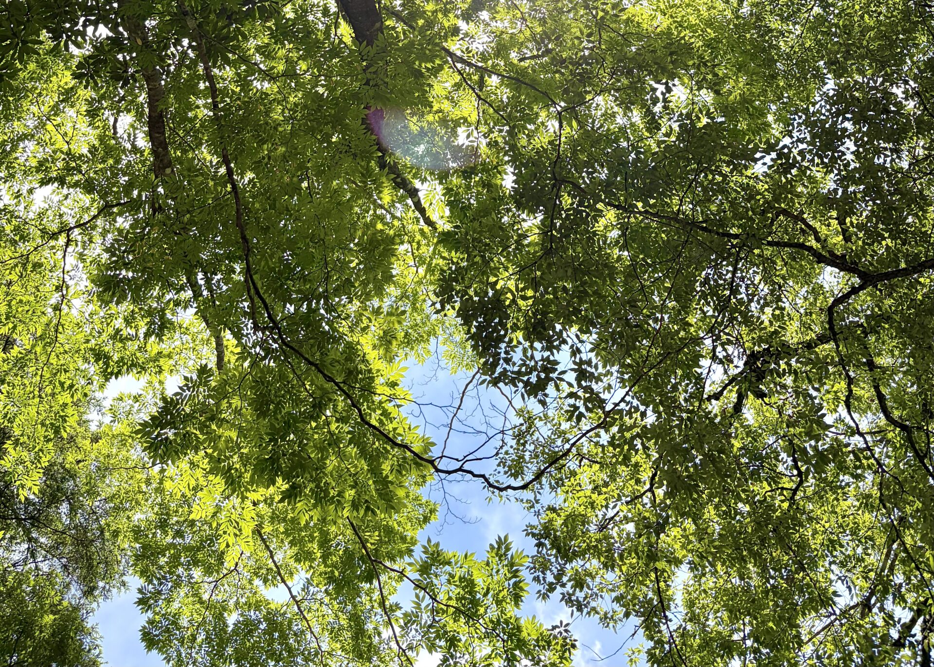 家づくりの不安や疑問はどうすればいい！？ タイミングも含めて答えます！